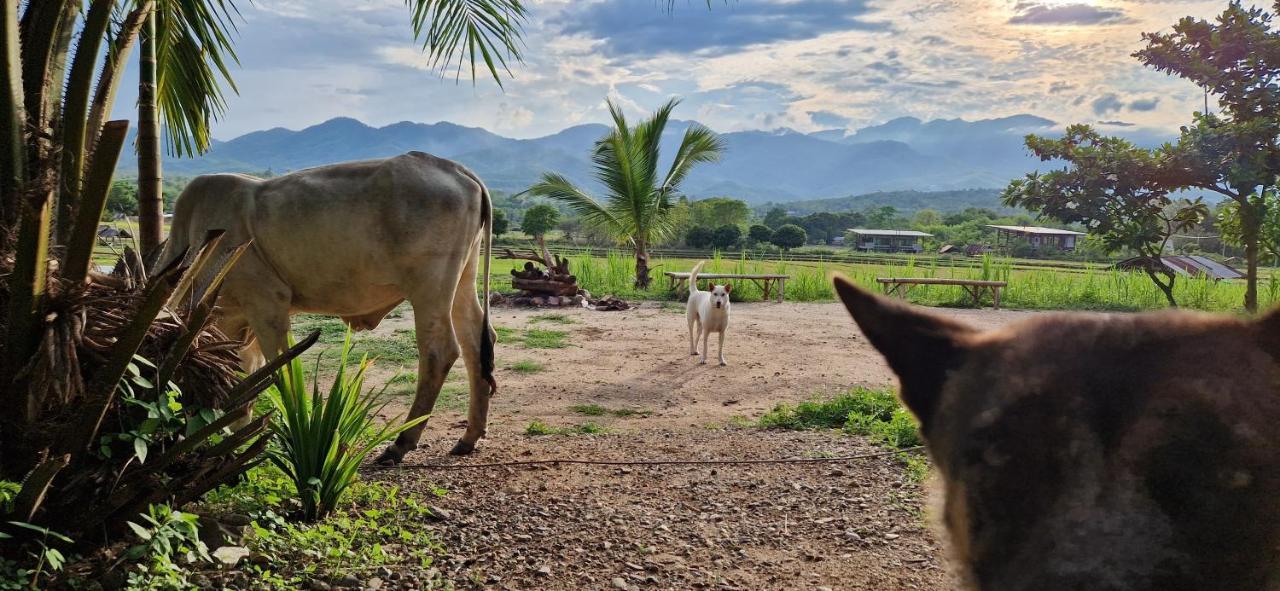 Atlas Valley (Adults Only) Pai Luaran gambar