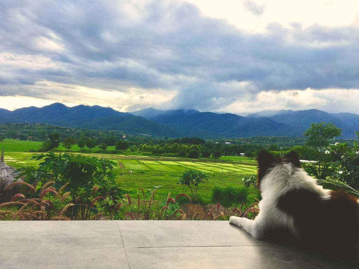 Atlas Valley (Adults Only) Pai Luaran gambar